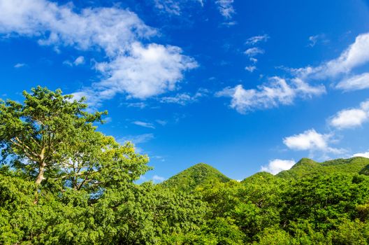 Lush green forest covered hills in San Andres y Providencia in Colombia