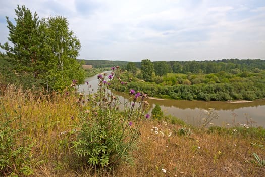 Summer landscape. View of river and the forest, Russia.