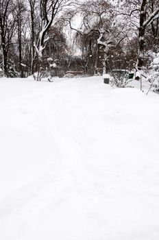 Path way in a white winter park after snowfall