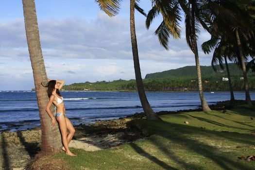 Young woman in bikini standing by palm tree, Las Galeras beach, Samana peninsula, Dominican Republic