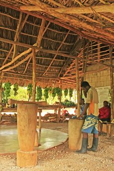 Local man processing cocoa beans in small village factory, Samana peninsula, Dominican Republic