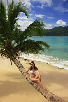 Young woman in bikini sitting on leaning palm tree at Rincon beach, Samana peninsula, Dominican Republic