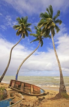 Las Terrenas beach, Samana peninsula, Dominican Republic