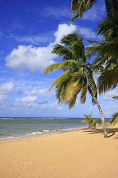 Las Terrenas beach, Samana peninsula, Dominican Republic