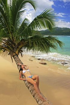 Young woman in bikini laying on leaning palm tree at Rincon beach, Samana peninsula, Dominican Republic