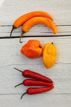 Colourful orange bell peppers and red hot chilli peppers displayed on a white painted textured wooden background, overhead view