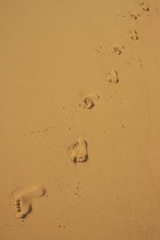 Footprints in sand