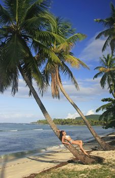 Young woman in bikini laying on leaning palm tree, Las Galeras beach, Samana peninsula, Dominican Republic