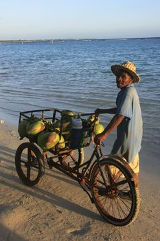 Local man selling coconuts at Boca Chica beach, Dominican Republic