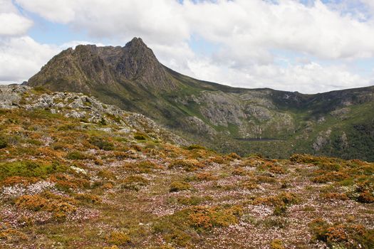 Cradle Mountain Lake St. Clair National Park, Tasmania, Australia