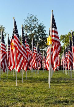 American Flags all in a row