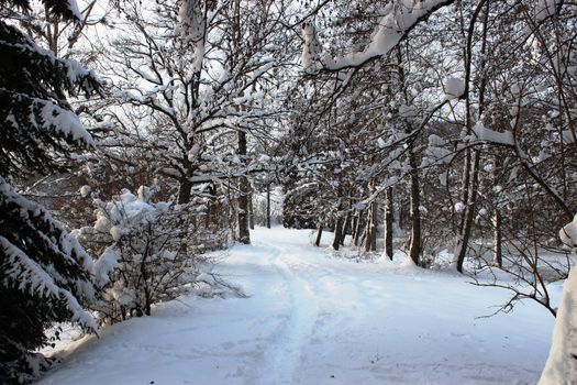 road with snow