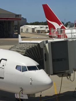 Airport Plane Transport Flying, Qantas Airline