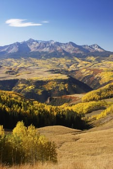 Lizard Head wilderness, Colorado, USA