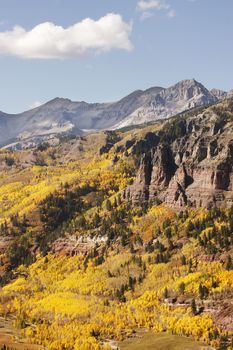 Scenic near Telluride, Uncompahgre National Forest, Colorado, USA