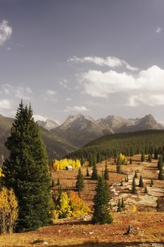 Molass pass, Rio Grande National Forest, Colorado, USA