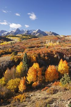 Dallas Divide, Uncompahgre National Forest, Colorado, USA