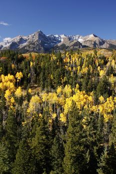 Dallas Divide, Uncompahgre National Forest, Colorado, USA