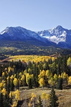 Dallas Divide, Uncompahgre National Forest, Colorado, USA