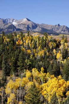 Dallas Divide, Uncompahgre National Forest, Colorado, USA