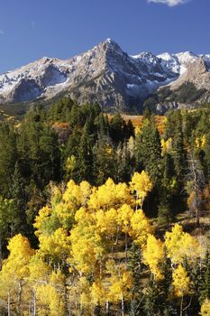 Dallas Divide, Uncompahgre National Forest, Colorado, USA