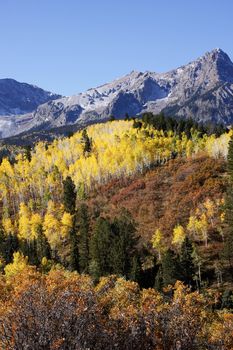 Dallas Divide, Uncompahgre National Forest, Colorado, USA