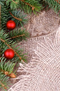 Frame of Green Spruce Branch with Fir Cones and Little Red Baubles closeup on Sack cloth background