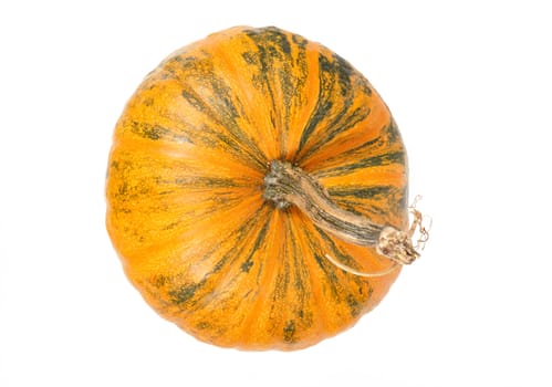 top view of fresh orange pumpkin isolated on white background