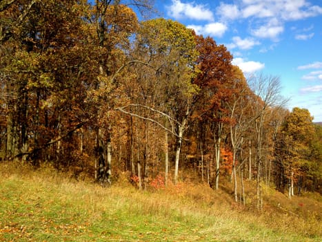 Autumn at Brown County State Park