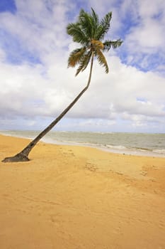 Las Terrenas beach, Samana peninsula, Dominican Republic