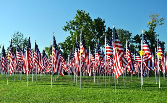 American Flags all in a row
