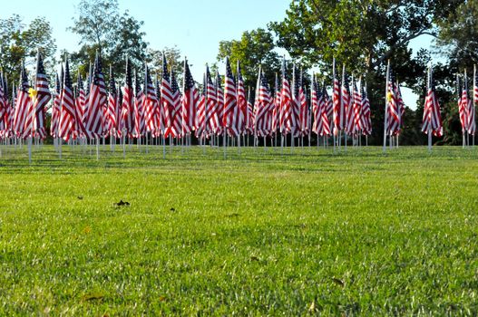 Flags line Minnetrista Cultural Center