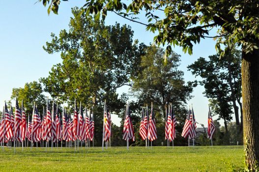 Flags line Minnetrista Cultural Center