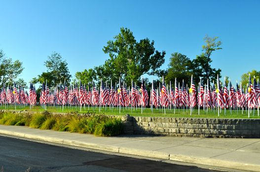 Flags line Minnetrista Cultural Center