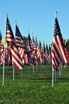 Flags line Minnetrista Cultural Center