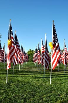 American Flags all in a row