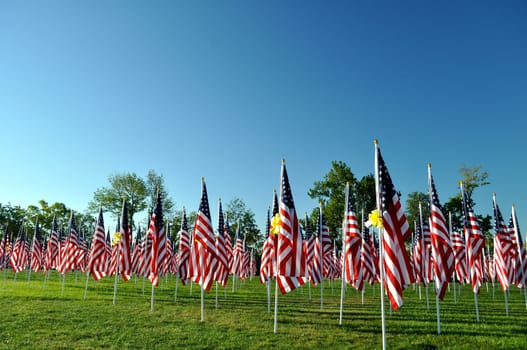 American Flags all in a row