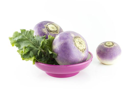 purple headed turnips on white background