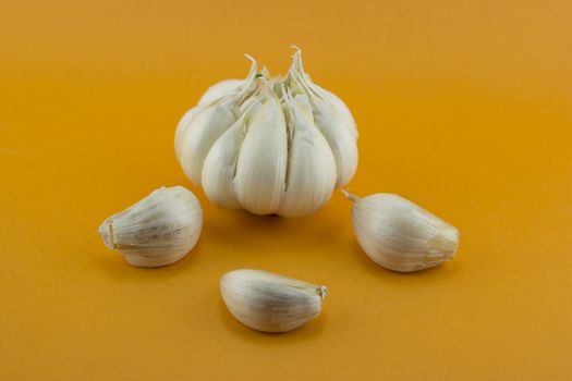 Garlic and garlic bulb on orange background