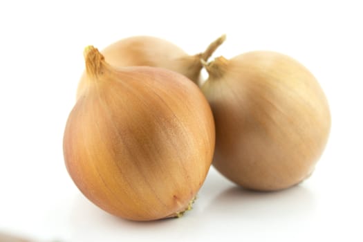 Ripe golden onions on white background.