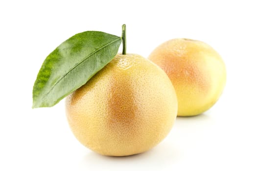 Ripe appetizing grapefruit with leaf on white background.