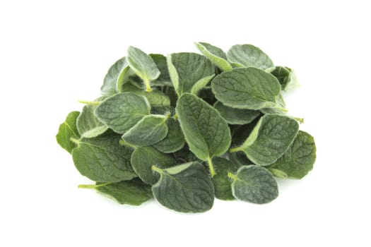 thyme herb isolated on white background .