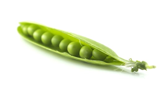 fresh pea fruit on white background .