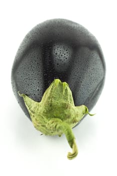 fresh eggplant vegetable with water drops on white background .