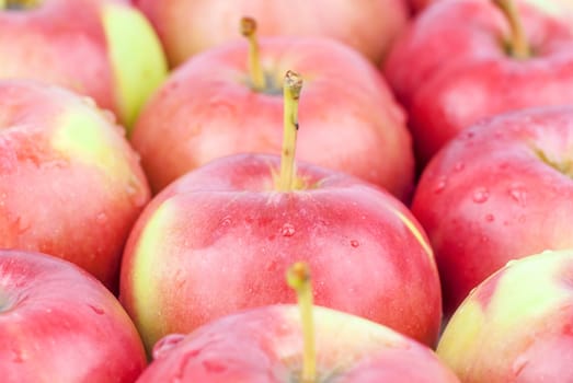 fresh red apples closeup