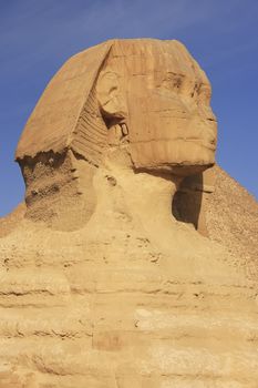 The Sphinx against blue sky, Cairo, Egypt