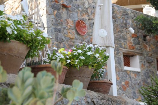 summer terrace with ceramic pots surrounded by tropical plants