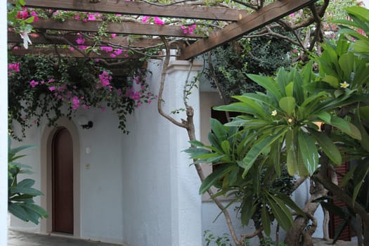 Traditional Greek yard surrounded by flowering plants