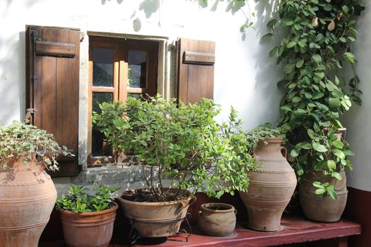 monastery chapel surrounded by plants in clay pots
