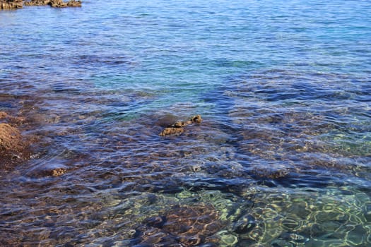 sea bottom through the clear water and the sun's rays